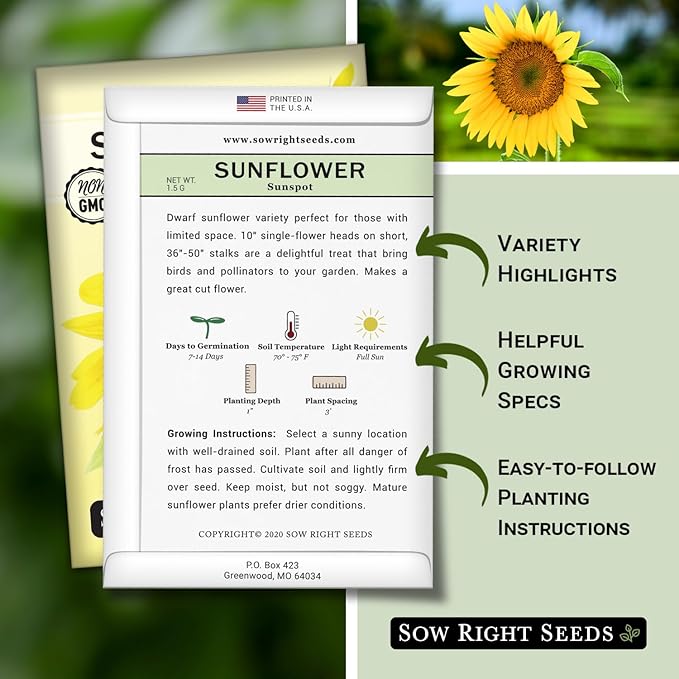 Sow Right Seeds - Sunspot Sunflower Seeds for Planting - Grow Giant Sunflowers in Your Garden - Non-GMO Heirloom Packet Instructions for Growing - Outdoor Sunflower Garden - Bright Yellow Blooms(1)