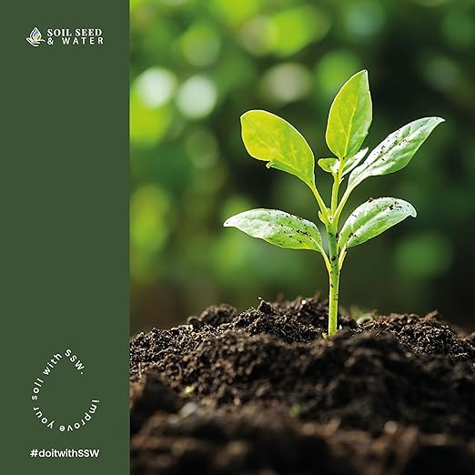 Soil Seed & Water Dan's Gold Organic Dairy Manure Humus Compost Fertilizer - Odor Free for Indoor and Outdoor Use - OMRI Listed