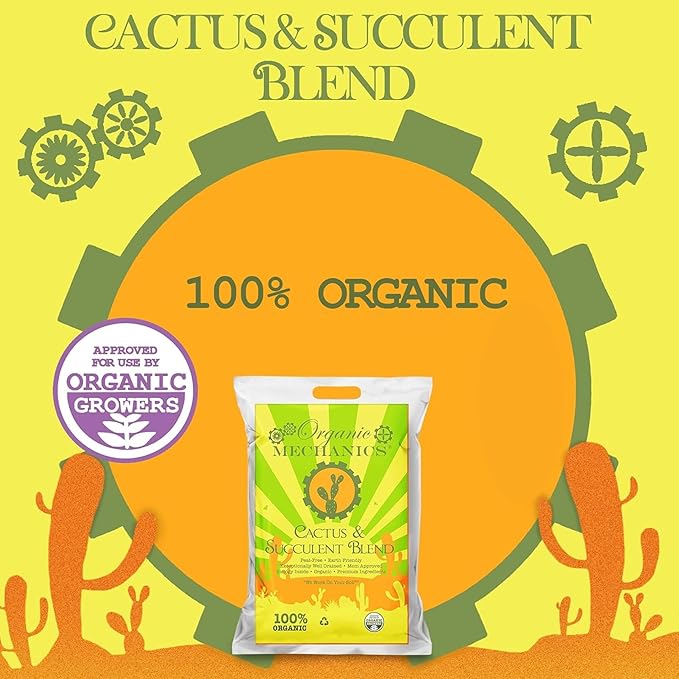 Cactus and Succulent Blend Potting Soil, 2 Quarts (Pack of 2) - Enhances Root Growth & Water Drainage with Biochar, Rice Hulls, and Worm Castings - Peat-Free & Eco-Friendly