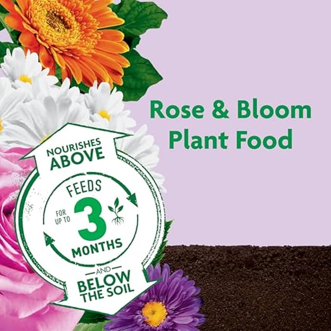 Miracle-Gro Shake 'N Feed Rose & Bloom Plant Food