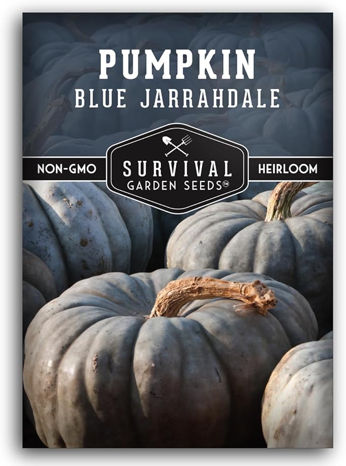 Blue Jarrahdale Pumpkin Seeds for Planting - 1 Packet with Instructions to Plant & Grow Decorative and Flavorful Blue Pumpkins in Your Home Garden - Non-GMO Heirloom Variety - Survival Garden Seeds