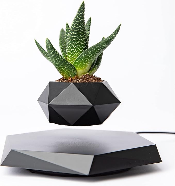 BandD Levitating Plant Pot - Floating Plant Pot for Small Plants. Levitating Decor for Home & Office Magnetic Floating Levitating Display (Black)