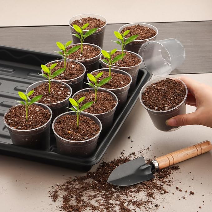 2.5" Clear Seeding Pots 100-Pack Round for Seeds Starter Pots, Seeds Germination Transparent Nursery Pots with Drainage Holes (2.5Inch,100Pcs,Clear)