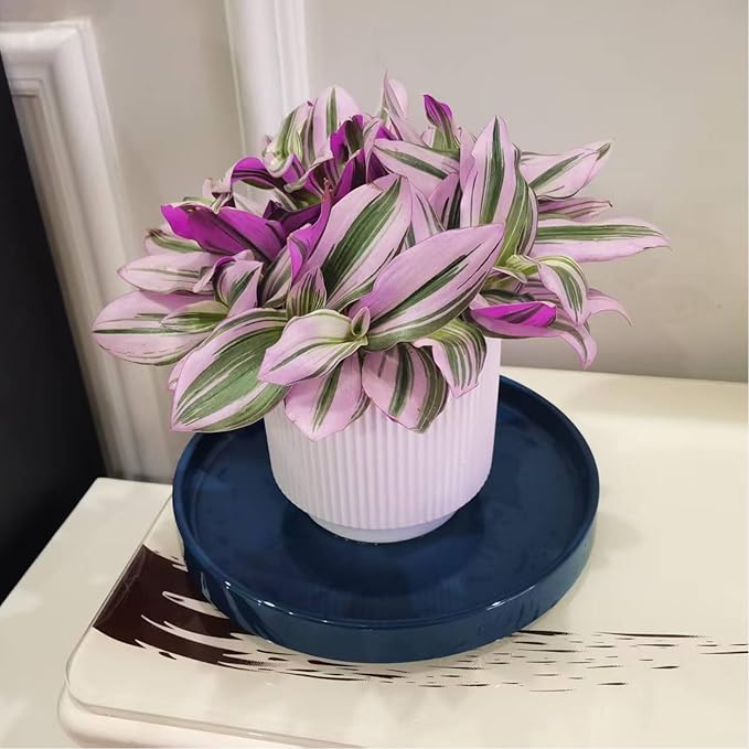 Ceramic Flower Pot Saucers, 9 Inch Plant Pot Saucers for Indoors Plants, Plant Trays for Pots Holding Water Drips and Soil, Drainage Tray for Plant Pot (Blue)