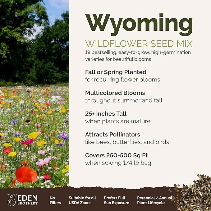 Eden Brothers Wyoming Wildflower Mixed Seeds for Planting, 1/4 lb, 120,000+ Seeds with Cornflower, Yarrow | Attracts Pollinators, Plant in Spring or Fall, Zones
