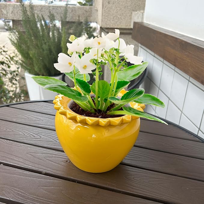 African Violet Flower Pot Self Watering Plant African Violet Planter Pot Yellow Ceramic Pot Maintenance Plant Seeder Planting 6.5 * 4.6 Inch High Absorption Plant Inner Flower Pot