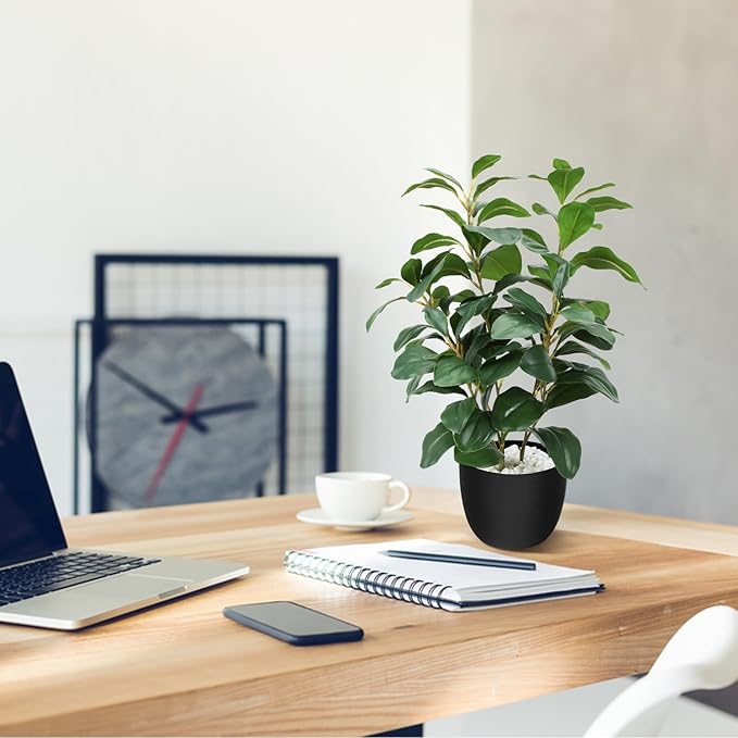 HUAESIN 17 inch Artificial Indoor Plants Faux Plant Peperomia Leaf Ficus Plant Realistic Small Fake Office Desk Tree for Home Kitchen Farmhouse Bathroom Bedroom Evergreen Decor