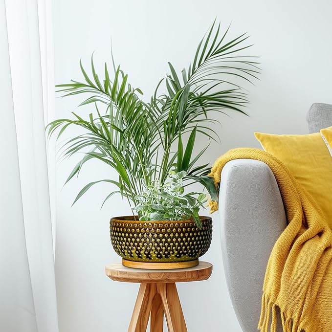 Bonsai Pots 8 Inch - Ceramic Planter for Indoor Plants, Succulent Pots with Drainage Hole and Plant Tray, Modern Round Decorative Flower Planters, Home Decor, Brown & Green