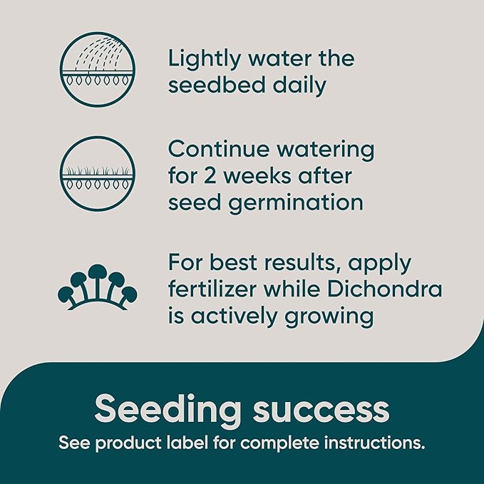 Scotts Pursue Dichondra with Natural Seed, Seeding for Decorative Areas, 1.5 lbs. (Pack of 2)