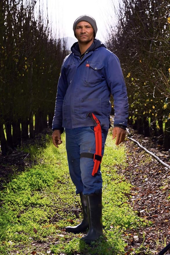 Felco F 630 Full-stroke pruning saw, 13 in, Red, Silver, Black