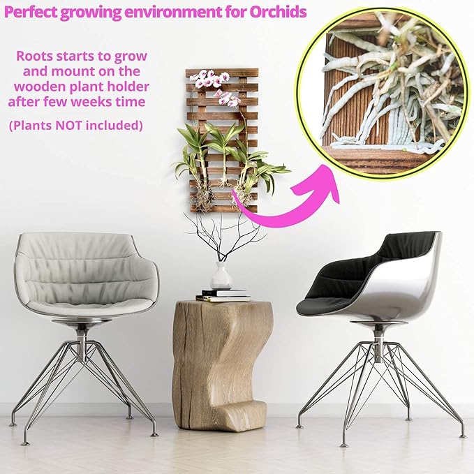 ShopLaLa Wall Planter - Wooden Hanging Planter for Indoor Plants, Plant Stand, Air Plant Succulent Holder, Vertical Garden. Large Wall Decor for Living Room, Room Decor for Teens, 60cm (23.6")