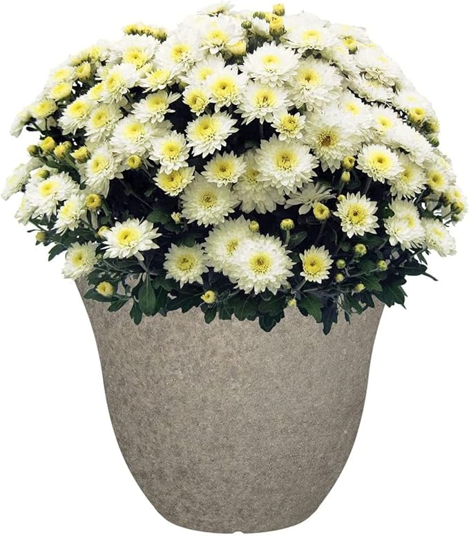 Classic Home and Garden Honeysuckle Resin Flower Pot Planter, Stone Grey, 13"