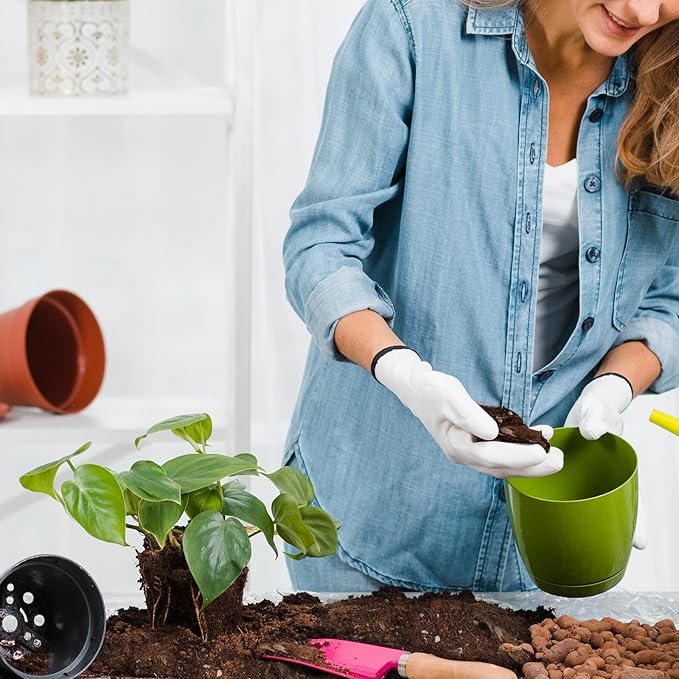 Organic Pothos Soil Mix 1qt, Indoor Plants Potting Mix for All Potted Pothos, Grow Healthy houseplants Indoors