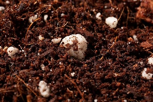 Noot Rooting Rescue Mix - 1 Quart - Coconut Chips Fibers Coco Coir Coarse Perlite - Root Rot Treatment - Rapid Roots for Propagation - Pre-Soaked & Ready to Use