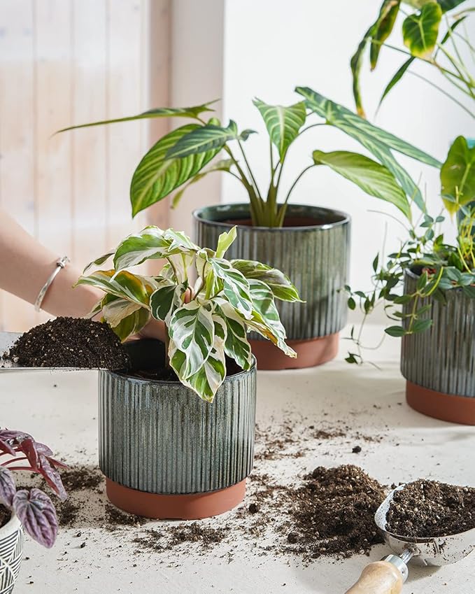LE TAUCI Ceramic Plant Pots with Drainage Holes, Set of 3, 8+6.7+5.5 Inch Stripe Garden Planter Pots for Outdoor Indoor Plants Flower, Round Succulent Orchid Flower Pot, Reactive Glaze Black