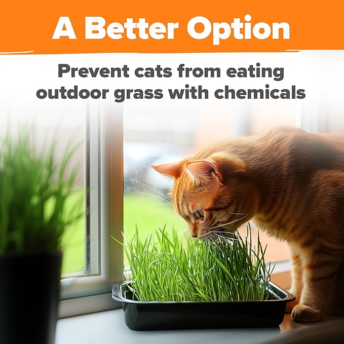 HOME GROWN Organic Cat Grass Seeds Pack 8oz – 7200 𝗡𝗢𝗡-𝗚𝗠𝗢 𝗨𝗦𝗔-𝗦𝗢𝗨𝗥𝗖𝗘𝗗 Heirloom Oat & Barley Grass Seeds for Indoor Cats – High Germination Hairball Relief, Pet Grass Ready in 7Days
