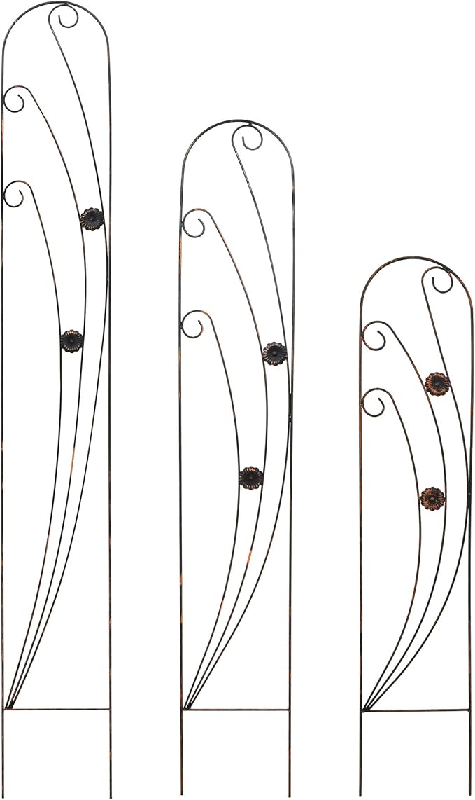 Arcadia Garden Products TR07 Phoenix Trellis Size: 4', Black