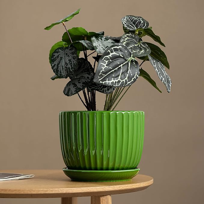 Ceramic Plant Pots,4"+5"+6" Inch,Green Flower Pots with Drainage Holes and Tray,Indoor Planters for Plants Pots,Home Office Decoration GIF for Plants,Succulent Pot Set of 3