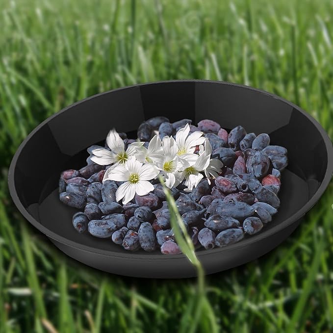 6 Pack Plant Saucer 4 6 8 10 12 14 16 18 20 22 Inch Plastic Plant Tray, Sturdy and Durable Flower Pot Container Accessories Plant Pot Saucers for Indoor and Outdoor (14 Inch, Black)