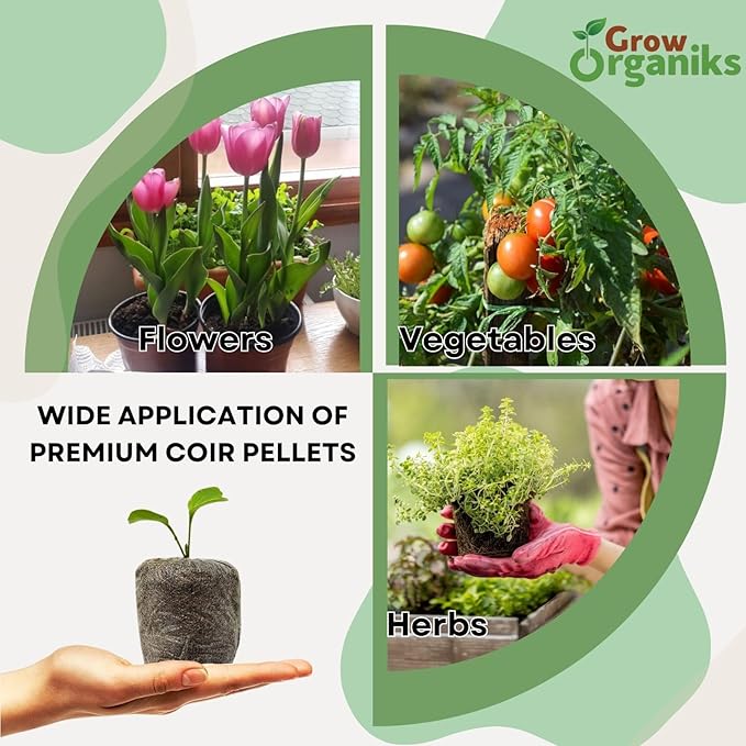 200 Pcs (3.5mm) Peat Pellets for Seedlings, Compressed Seed Starting Plugs Pallet Potting Soil Block, Seed Starter Pellets Soil Pods for Planting Flowers, Herbs, and Vegetables