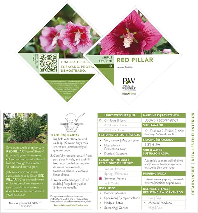 2g Proven Winners Hibiscus Red Pillar