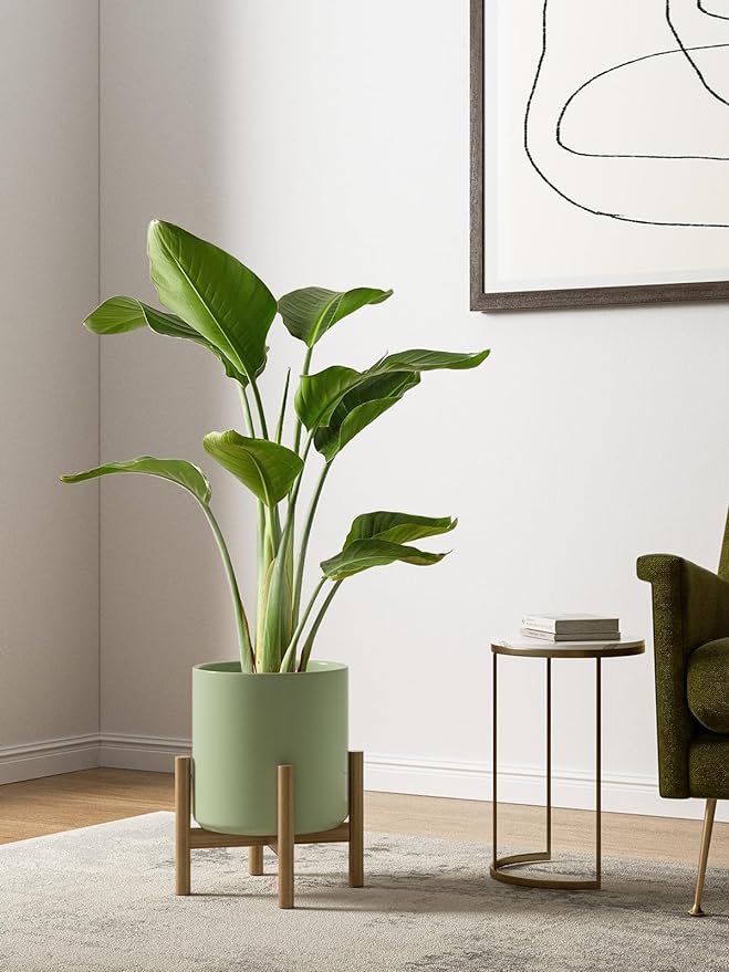 LE TAUCI Large Plant Pots Set, 10/8/6 Inch Ceramic Planters for Indoor Plants, Mid-Century Modern Flower Planter Pots with Drainage Hole and Plug, Round Planter, Set of 3, Reactive Glaze Olive Green