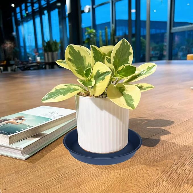 6 Pack of 12 inch Plant Saucer, Heavy Duty Plastic Plant Saucer 12" Round, Durable Plant Tray for Pots, Plant Saucers for Indoors, Plant Trays for Planter (12", Blue)