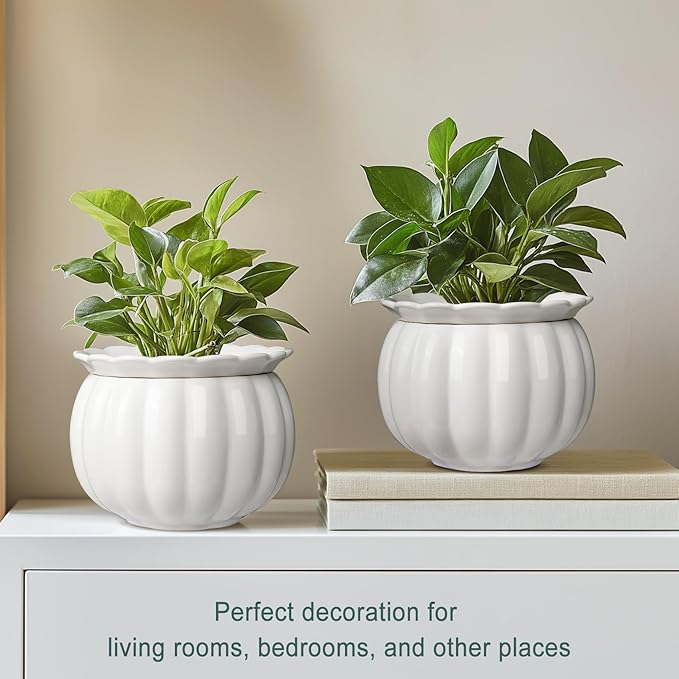 African Violet Self-Watering Ceramic Planter – 6 Inch Pot for Indoor Plants, Succulents, Herbs & Small Houseplants, Simple Self-Watering Design for Home & Office Décor, White