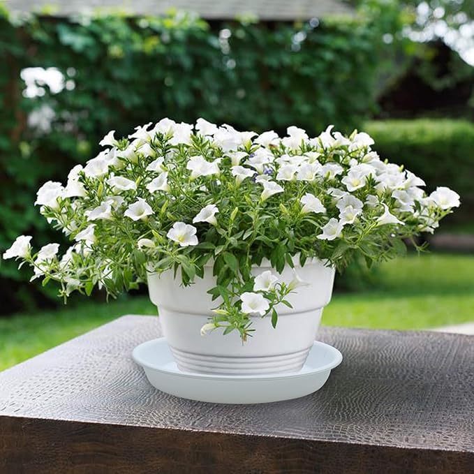 3 Pack Plant Saucer Heavy Duty Sturdy Drip Trays for Indoor and Outdoor (16 Inch, White)