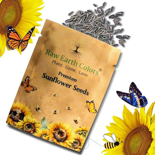 Sunflower Seeds for Planting to Plant Mammoth Sunflower Seeds Packet of About 100 Flower Seeds (Asteraceae Asterales Helianthus giganteus) !