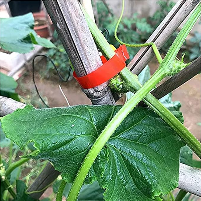 20 Pcs Plant Tying Machine Tape, 100 Feet Long x 1/2 Inch Wide, with One Box Staples, for Vegetables Tying Tool,Garden Tape for Plants