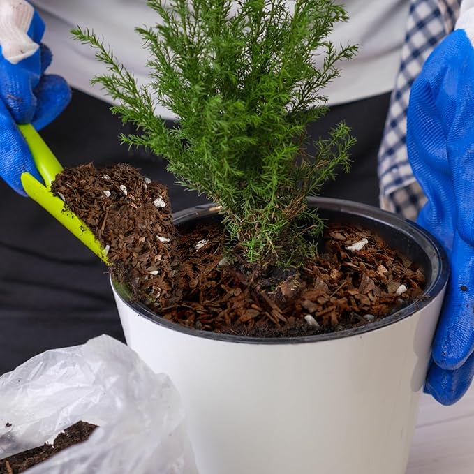 Bonsai Soil Mix Ready to Use (10qt), Premium Fast Draining Organic All Purpose Potting Mix for All Varieties of Bonsai