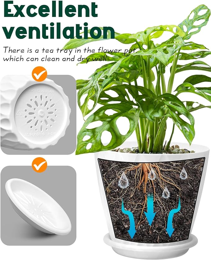 6 Inch Indoor Planter Pots with Drainage Hole and Tray Saucer,Flower Pots for Indoor Outdoor Garden Plants and Flowers, Multicolor, 5 Packs (White)