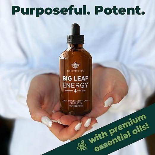 Big Leaf Energy : Concentrated Refill : Pure Organic Cold Pressed Neem + Essential Oils (118 mL, Makes 4 gallons) for Plant Wellness