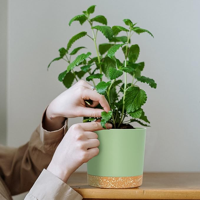 QCQHDU 5 inch Plant Pot, 2 Pack Planters for Indoor Plants with Drainage Holes & Saucer, Outdoor Flower Pots Home Garden Modern Decor