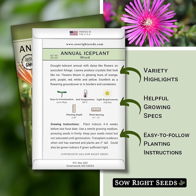 Sow Right Seeds - Ice Plant Flower Seeds for Planting - Non-Invasive Livingstone Daisy, Succulent Like Leaves - Beautiful Flowers to Plant in Your Garden - Non-GMO Heirloom Packet (1)