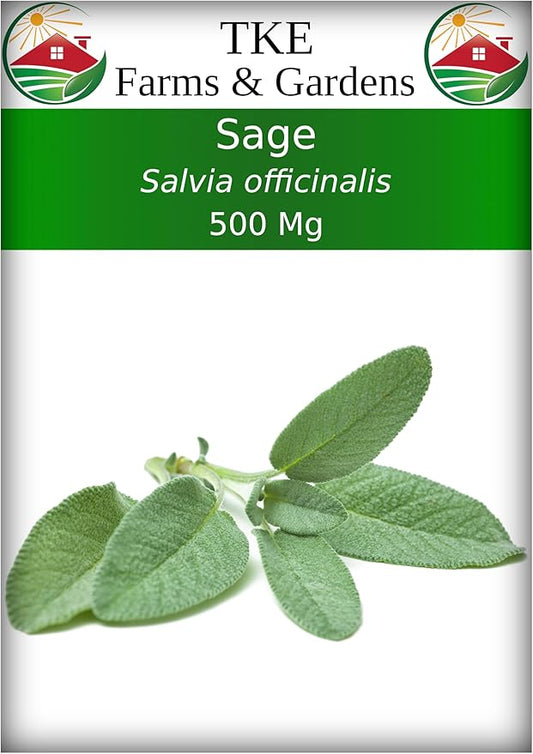 TKE Farms & Gardens - Sage Seeds for Planting - 120+ Heirloom Non-GMO Sage Seeds, Ideal for Indoor & Outdoor Gardens, Great for House Plant Seeds, Salvia officinalis, Includes Growing Instruction