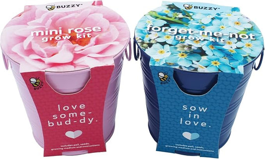 Buzzy Seeds Painted Love Pails | Flower Starter Kit for Kids & Adults | 2-Pack | Mini Rose and Forget-Me-Not Seeds | Guaranteed to Grow | Best Indoor Grow Your Own Plant Gardening Gift
