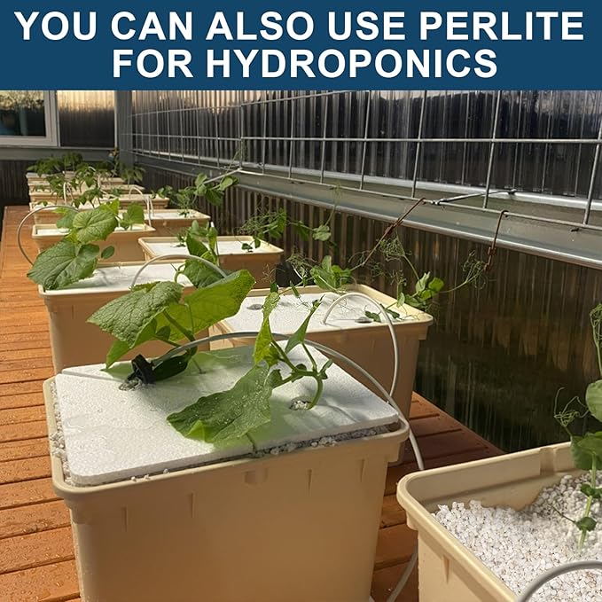 Horticultural Perlite for Plants 10qt, Chunky Perlite Bulk for Gardening, Soil Amendments to Improve Soil Aeration & Dranage for Houseplant