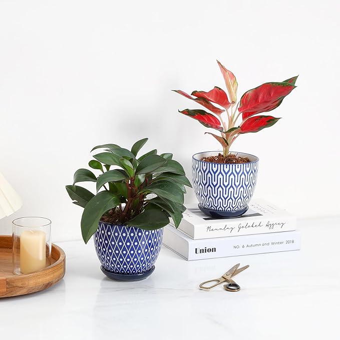 Selamica Ceramic Plant Pots, 5.6 Inch Flower Pots for Indoor Plants, Planters with Drainage Hole and Saucer, Garden Pots for Succulent, Orchid, Home Decor, Set of 4, Vintage Blue