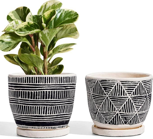 LE TAUCI 5.5 Inch Boho Plant Pots Indoor, Artisanal Cement Pots for Indoor Plants, Succulent Pots with Drainage Holes and Saucers, Planters for Indoor Plants, Set of 2, Black and Cream White