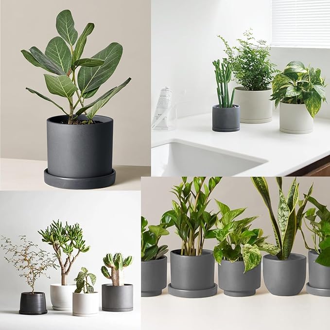 Ceramic Plant Saucer Pot Tray 12 Inch, Planter Saucers 4 5 6 7 8 9 10 11 12 13 Inch for Indoors Outdoor, Durable Sturdy Flower Drainage drip Water Tray for Glazed Pots Base (12.7 Inch-Grey)