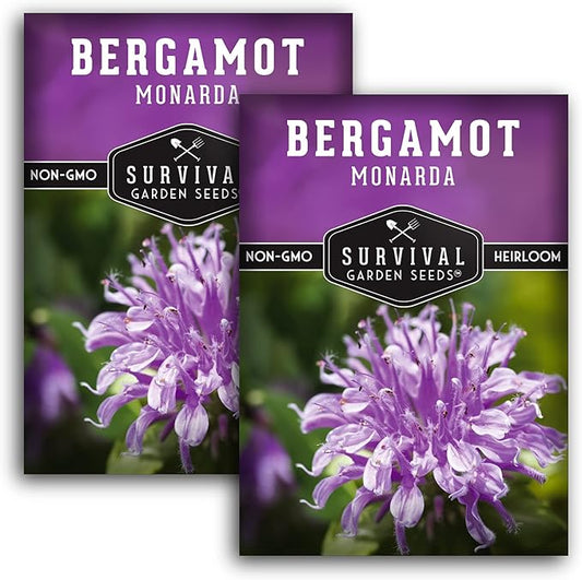Survival Garden Seeds - Bergamot Herb (Bee Balm) Seed for Planting - 2 Packs with Instructions to Plant and Grow Lavender Monarda Wildflowers in Your Home Vegetable Garden - Non-GMO Heirloom Variety