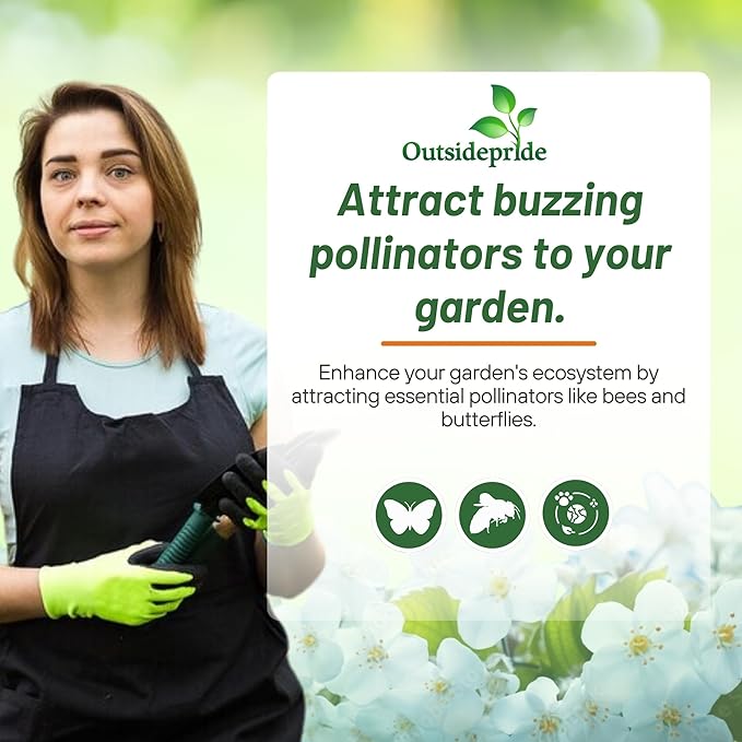 Outsidepride 5000 Seeds Annual Eschscholzia California Poppy White Linen Wild Flower Seeds