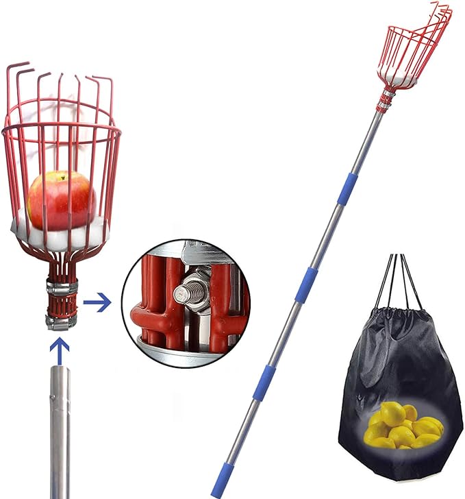 Fruit Picker Tool, 5.5 Foot-Long Fruit Picker Equipped with Optional Splicing of Lightweight Stainless Steel to Pick Apples, Oranges and Fruit Trees (5.5 Foot)