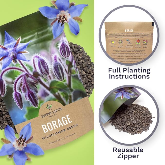 Borage Seeds – Bulk Quarter Pound Bag – Over 5,000 Open Pollinated Non-GMO Wildflower Seeds – Borago officianalis