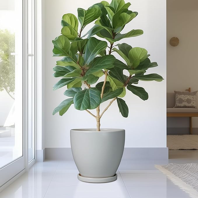 10 Inch Planter - Ceramic Pots for Plants, Planters with Drainage Hole and Tray, Modern Flower Pots Indoor, Home Living Room Patio Porch Garden Office Decor, Gray