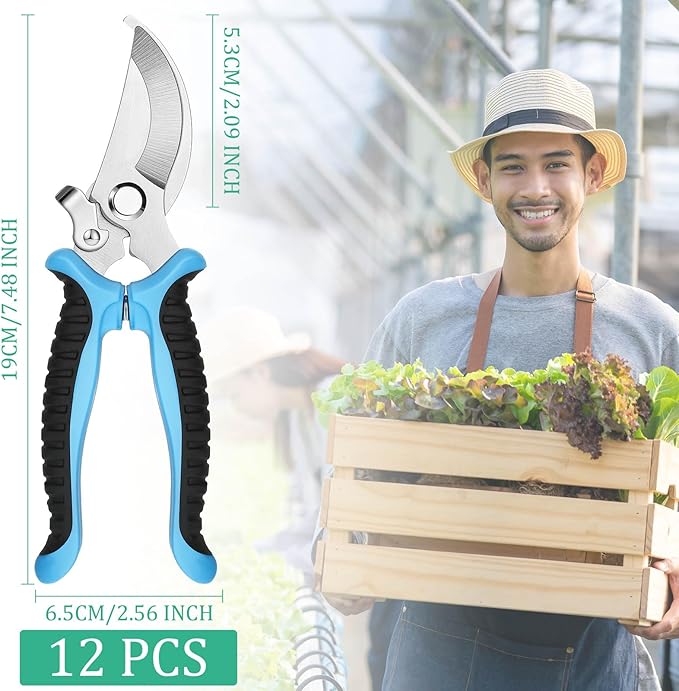 Lothee 12 Pcs Pruning Shears Bulk for Gardening Flower Shears, Floral Scissors 7.5 Inch Bypass Garden Hand Shears Clippers for Cutting Flowers, Trimming Plants Heavy Duty Garden Tools(Blue)