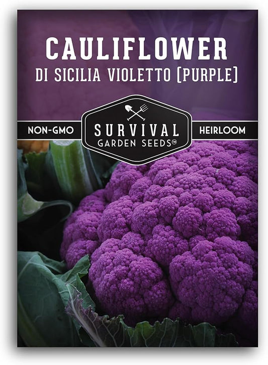 1 Pack Di Sicilia Violetto Purple Cauliflower Seeds for Planting with Instructions to Grow Unique Cauliflower Plants in Your Home Garden - Non-GMO Heirloom - Survival Garden Seeds