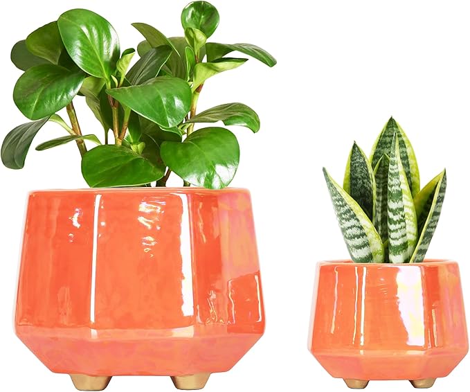 6 Inch + 4 Inch Ceramic Planter for Indoor Plants - Plant Pots with Drainage Hole - Modern Minimalist Flower Pot for Succulents and Herbs - Peach
